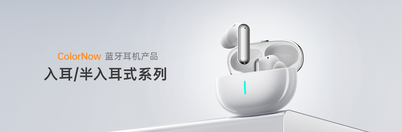 入耳式